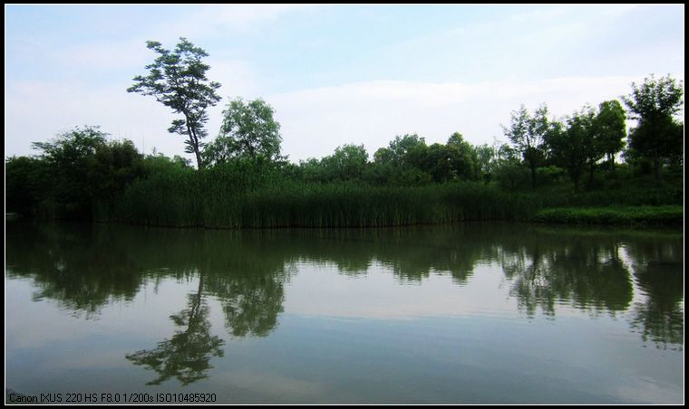 静谧的西溪湿地1.jpg