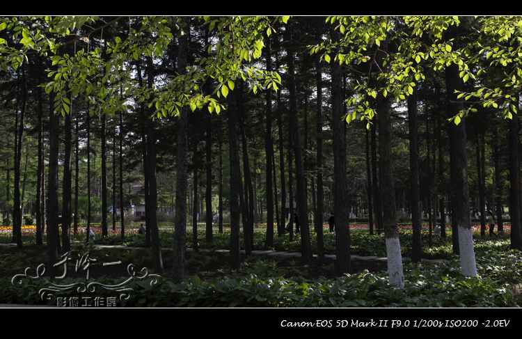 2012年5月植物园三幅.jpg