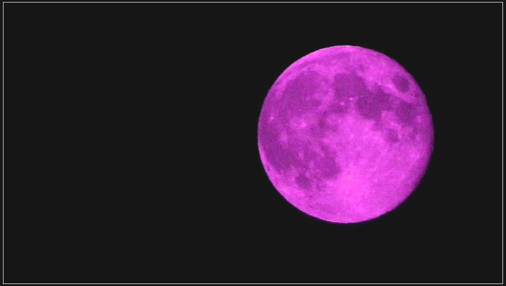 紫月亮.JPG