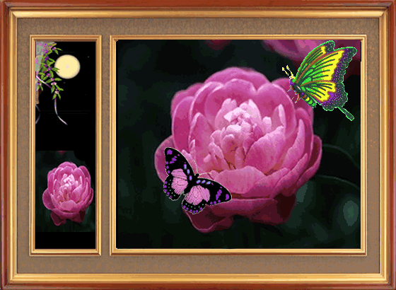 月光下的蝶和花4.gif