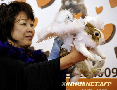 组图：日本兔子时装大赛 可爱小兔扮靓选美5.jpg