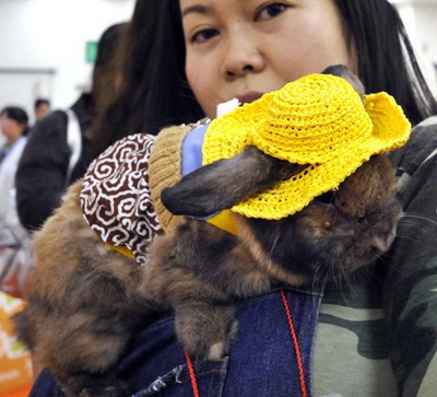组图：日本兔子时装大赛 可爱小兔扮靓选美4.jpg