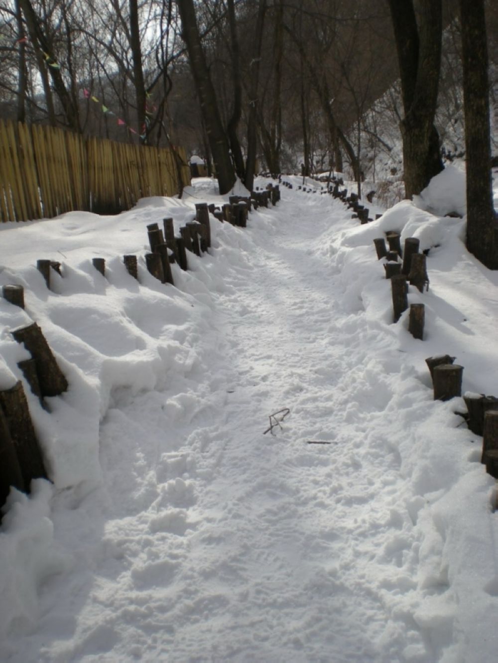 雪景3.jpg