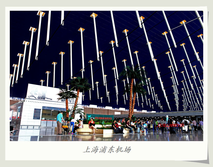 上海浦东机场.jpg