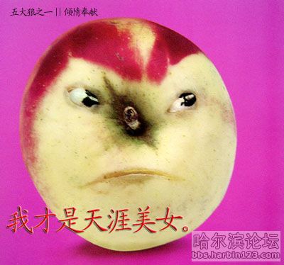 水果的表情5.jpg