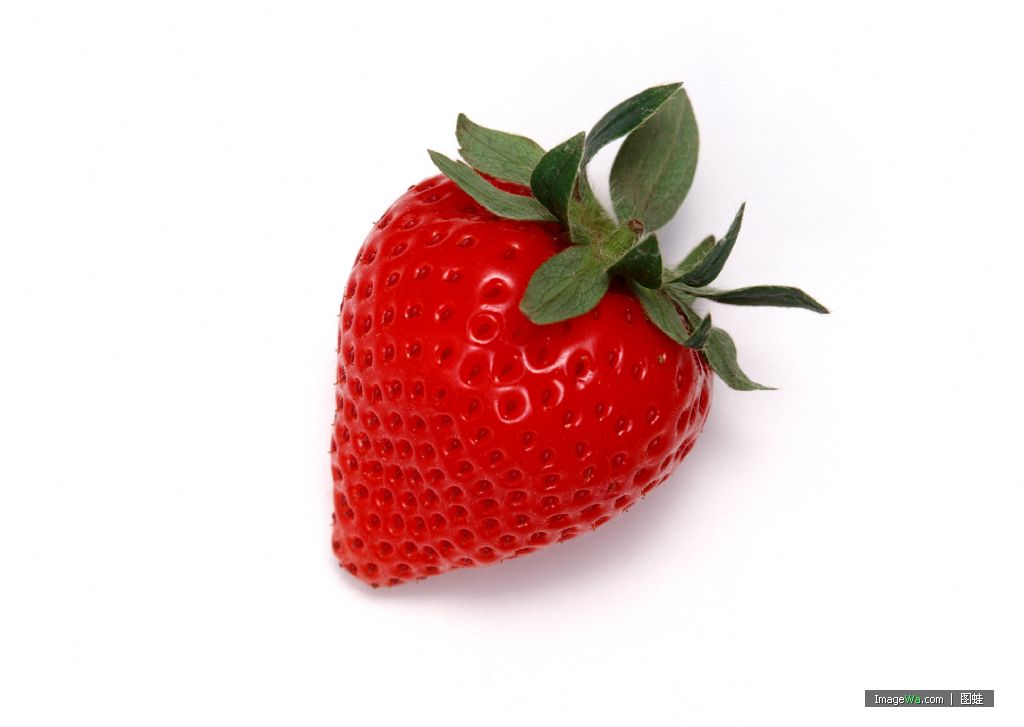 草莓7.jpg