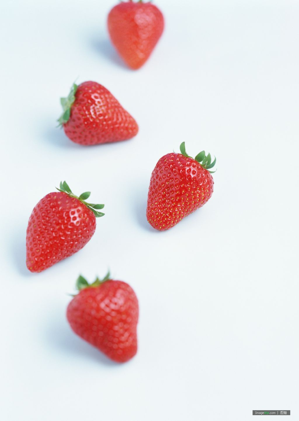 草莓9.jpg