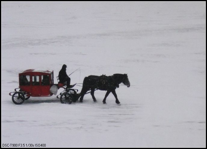 24风雪一角（卢娟）.JPG