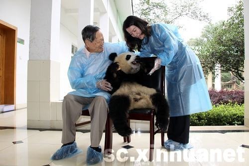 杨振宁夫妇亲密接触大熊猫1.jpg